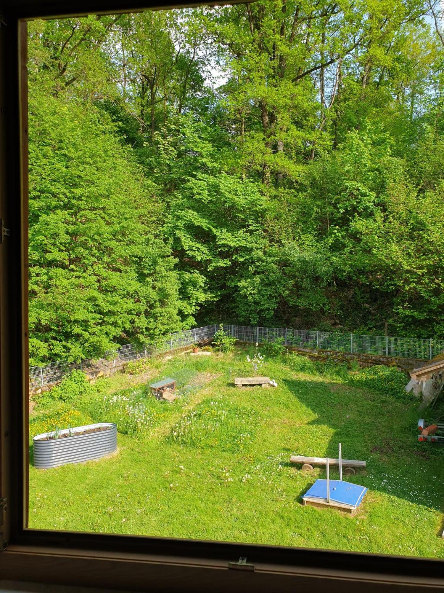 Ferienwohnung Und Sommerhaus Unter Der Burg Falkenberg  Exterior photo